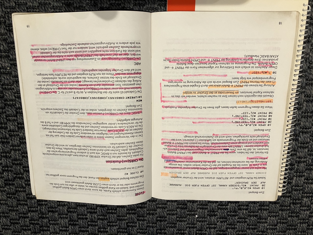 Groß (IMG_8456).jpeg