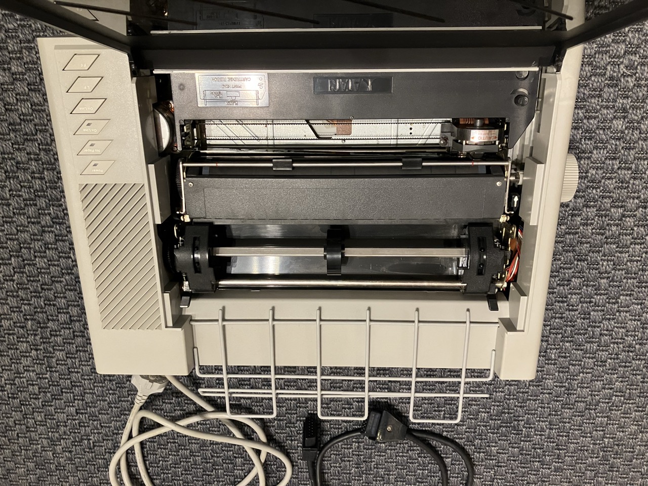 Groß (IMG_8458).jpeg