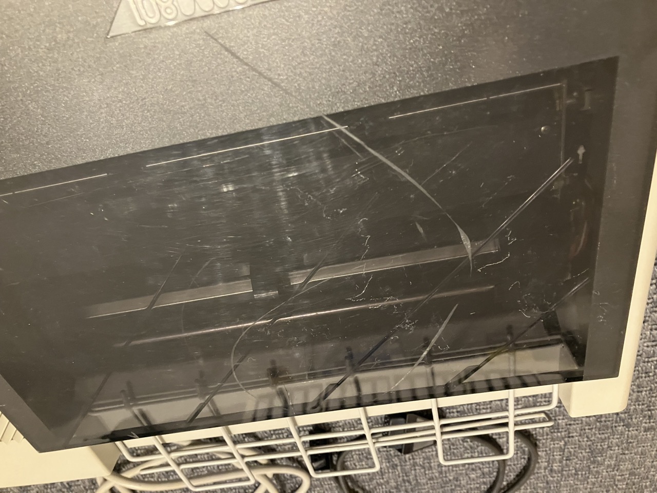 Groß (IMG_8459).jpeg