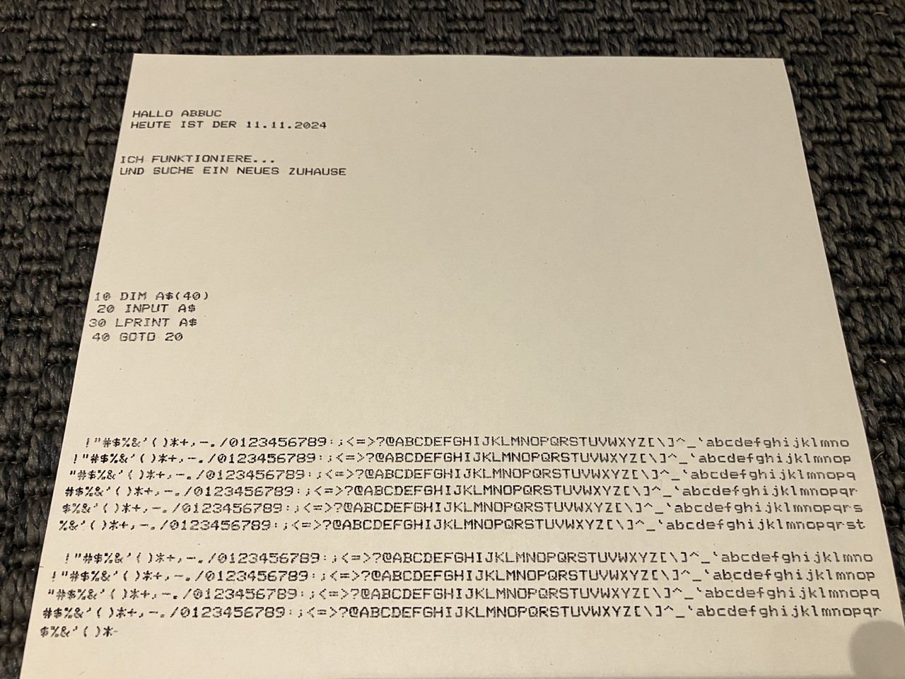 Groß (IMG_8461).jpeg