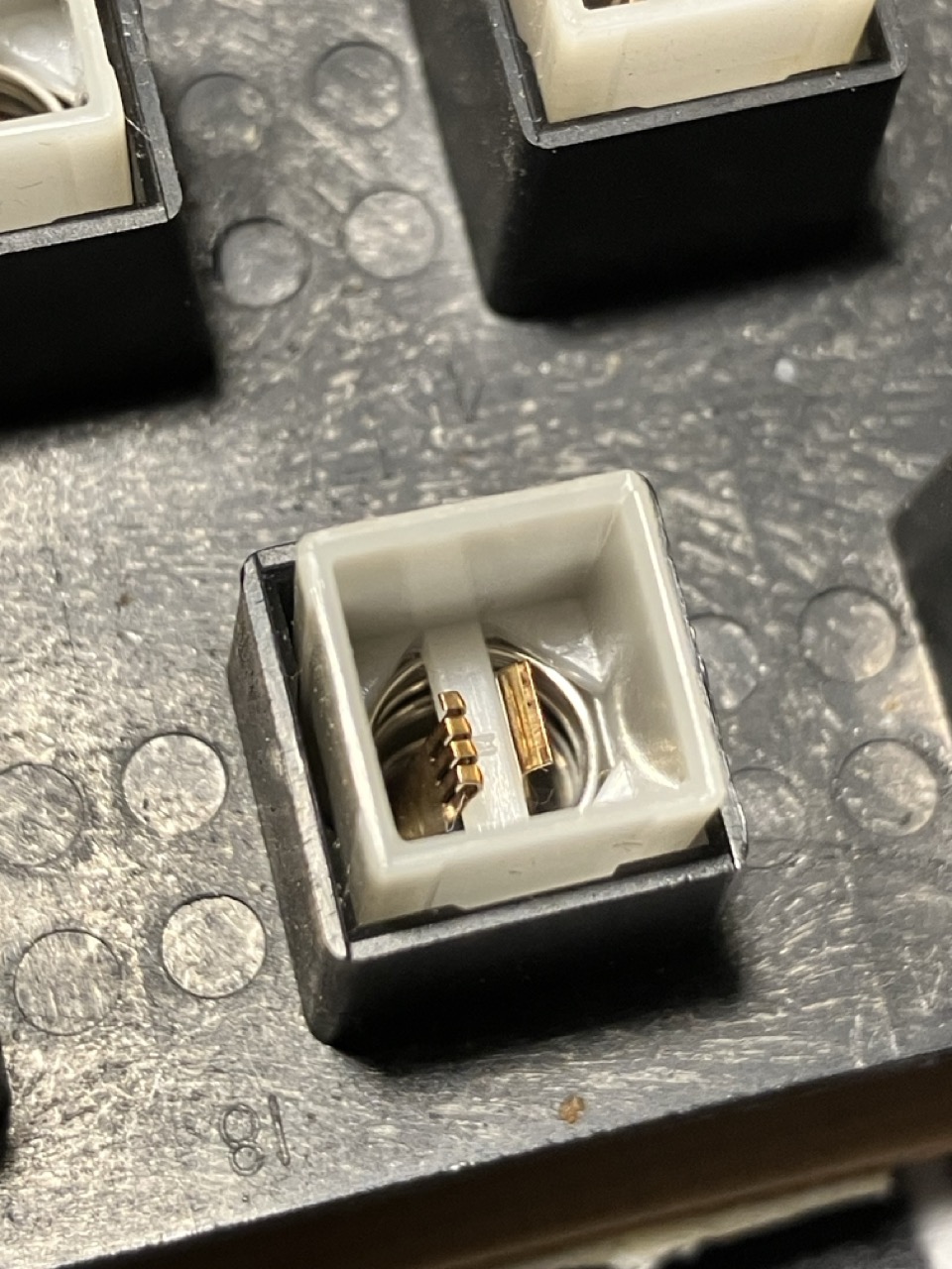 Groß (IMG_8747).jpeg