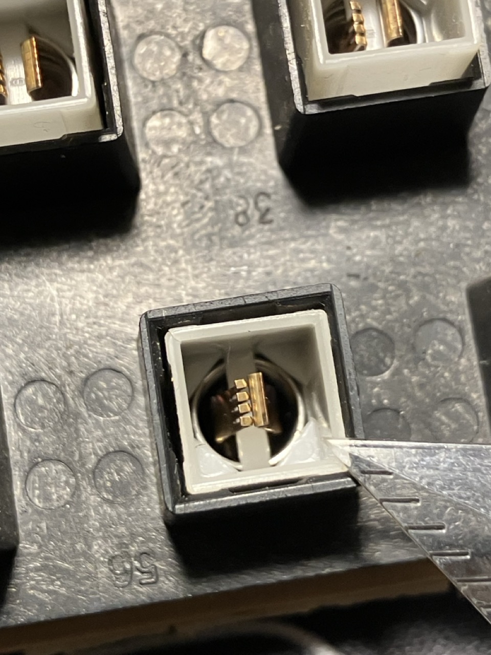 Groß (IMG_8748).jpeg