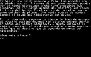 Dona Elisa ATARI ST 03 (320 x 200).jpg