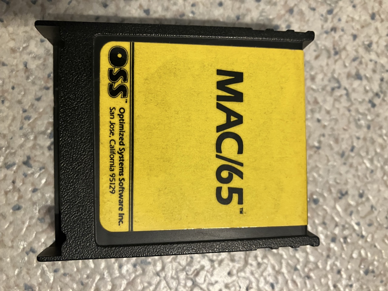 Groß (IMG_9039).jpeg