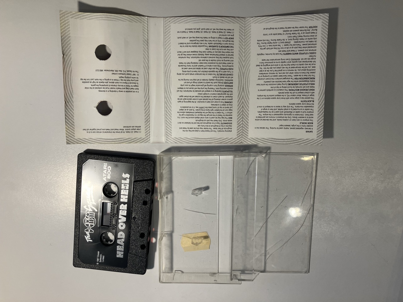 Groß (IMG_9043).jpeg