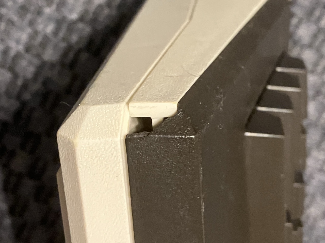 Groß (IMG_9096).jpeg