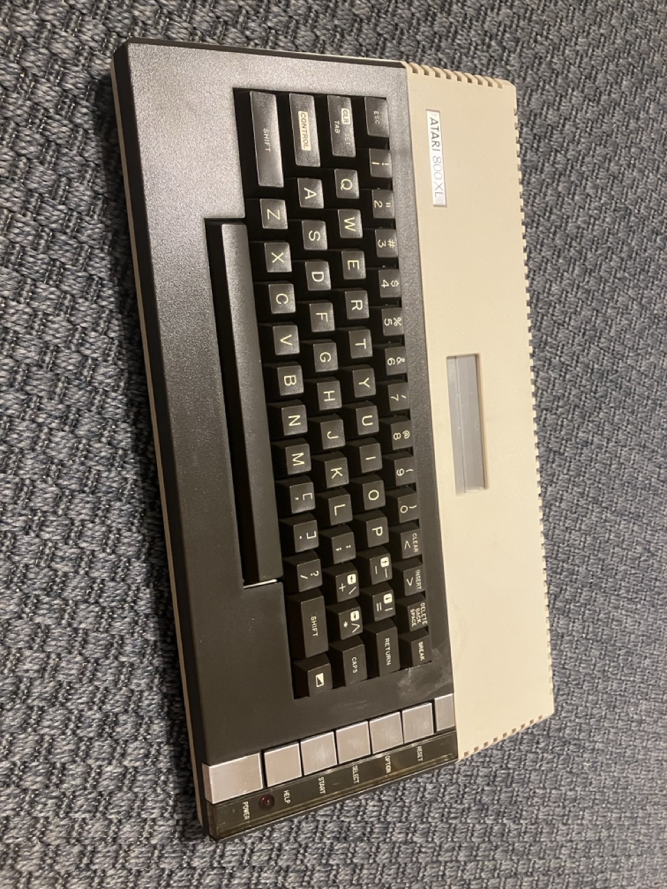 Groß (IMG_9094).jpeg