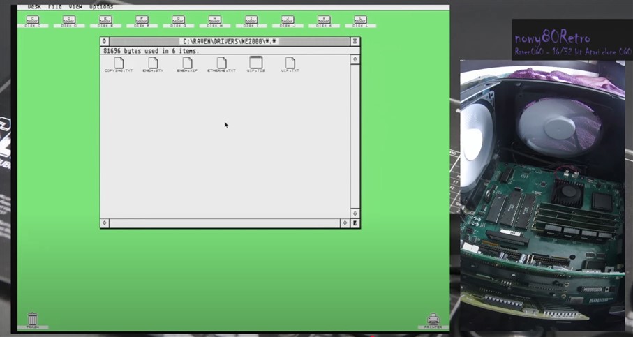 Raven 060 02 (907 x 483).jpg