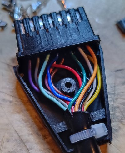 sio Stecker.jpg