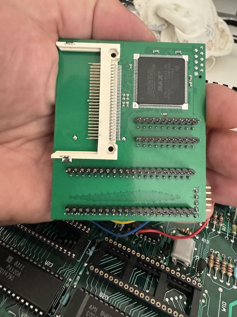 Auch ein schöner Rücken kann entzücken