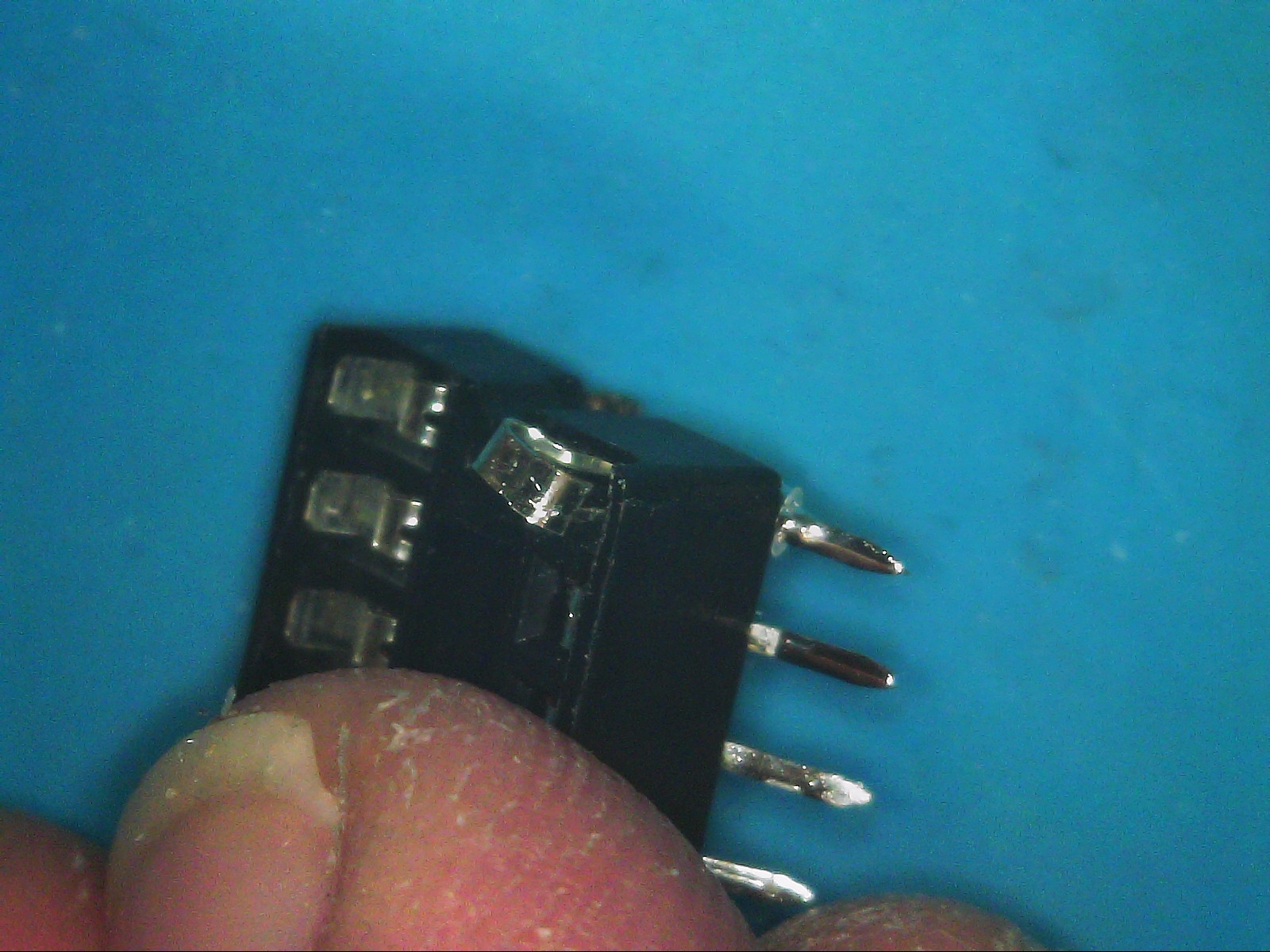 S20251101_0003.jpg
