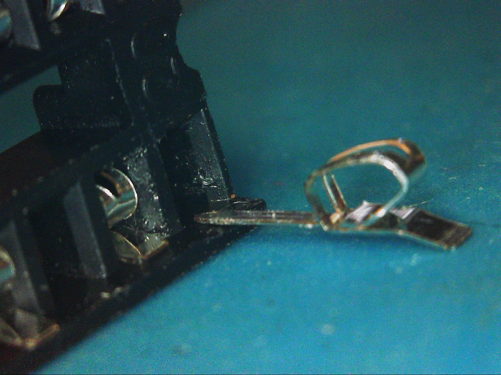 S20251101_0010.jpg
