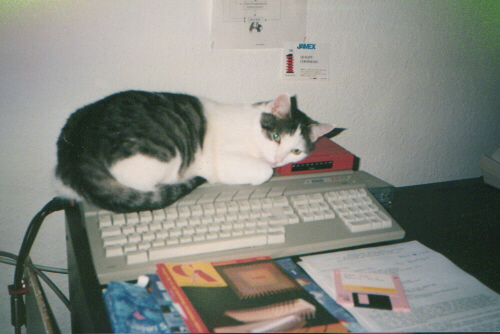 2080STF mit Modem: MADNESS MAILBOX "Hardware-Cafe"