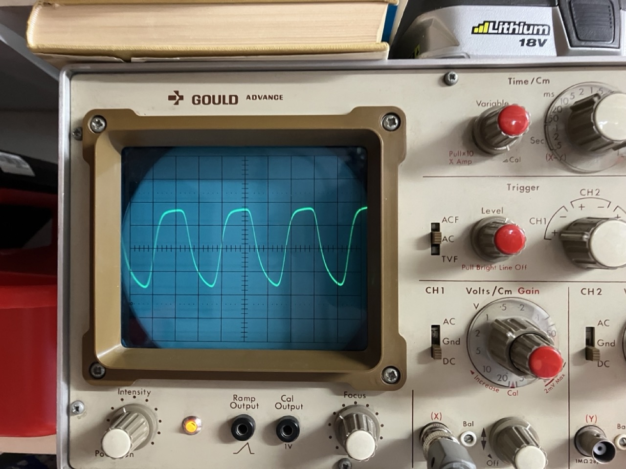 Groß (IMG_7961).jpeg