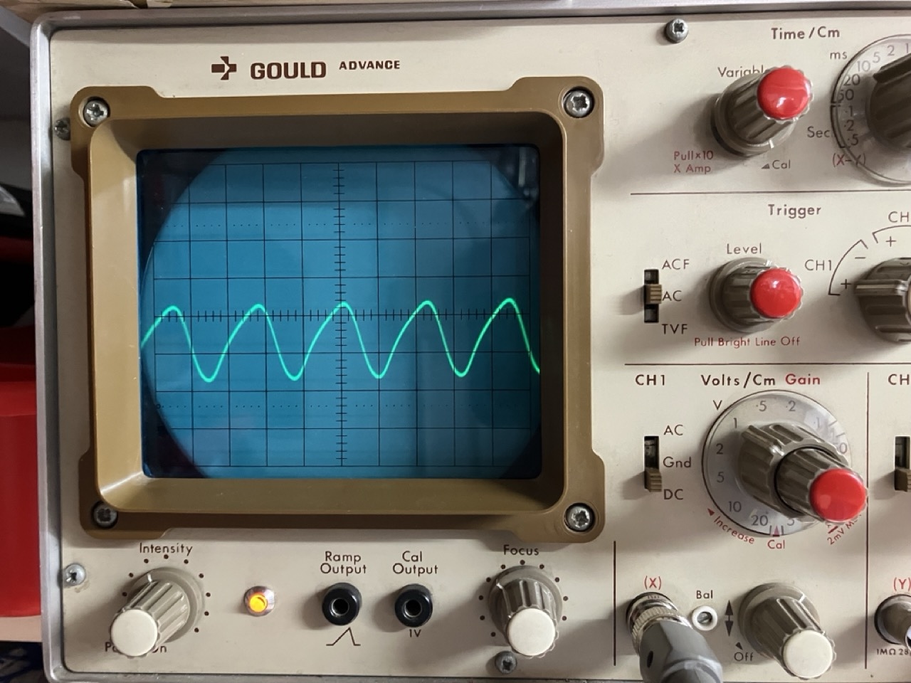 Groß (IMG_7962).jpeg