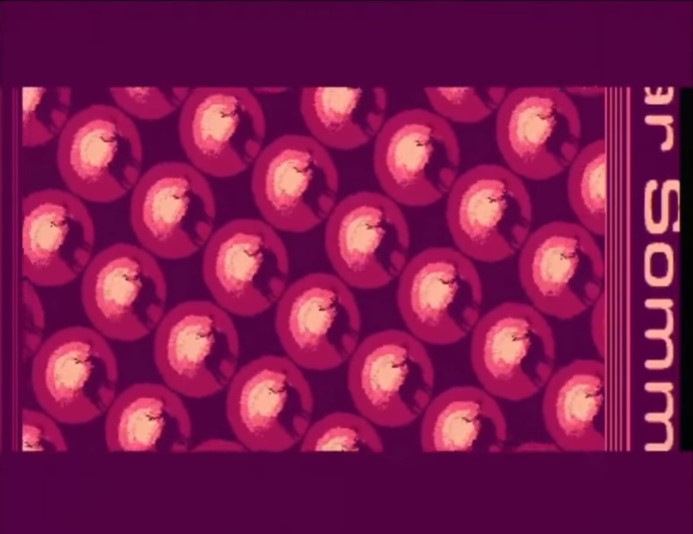 Newline - Ika I Compofylla 02 (693 x 534).jpg