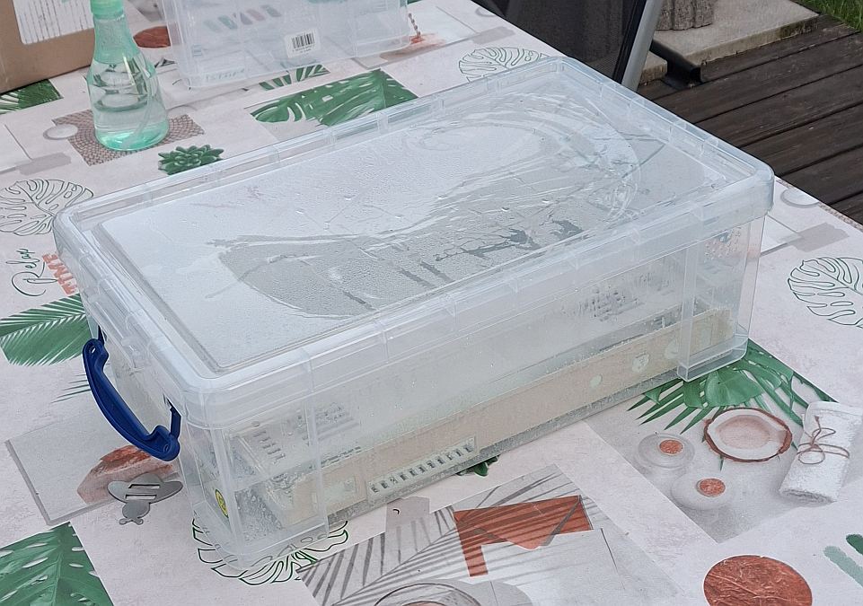 Box-12l.jpg