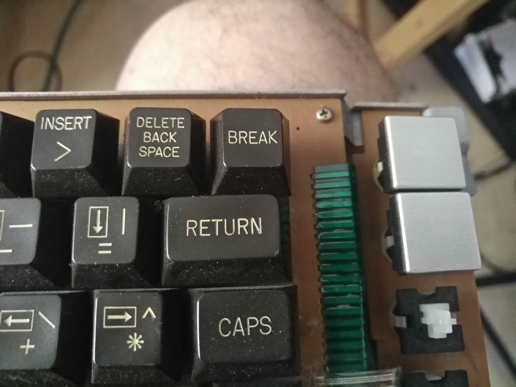 WhatsApp Bild 2024-09-08 um 11.48.43_4dc91f7a (1024 x 768).jpg