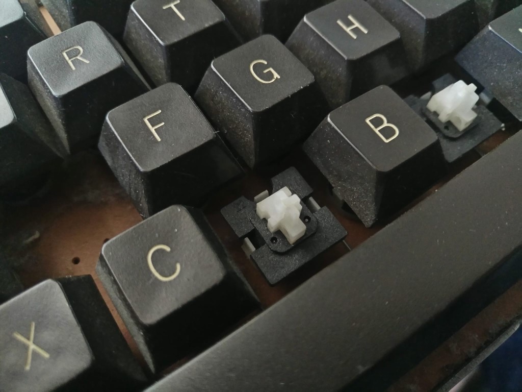 WhatsApp Bild 2024-09-08 um 12.01.25_a8f7635b (1024 x 768).jpg