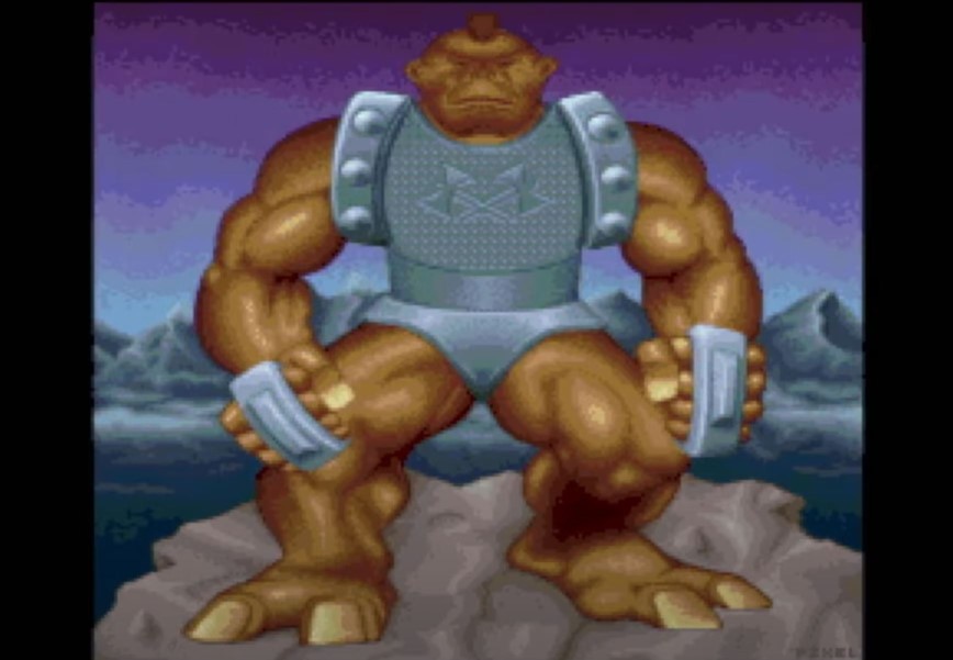 Commander X16 SR 04 (868 x 601).jpg